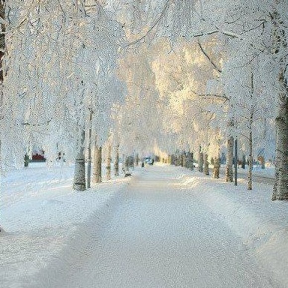 angiesysak